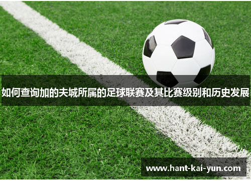 如何查询加的夫城所属的足球联赛及其比赛级别和历史发展 如何查询加的夫城所属的足球联赛及其比赛级别和历史发展