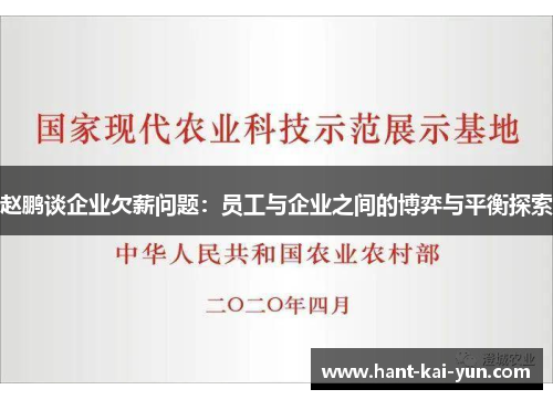 赵鹏谈企业欠薪问题：员工与企业之间的博弈与平衡探索