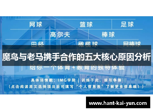 魔鸟与老马携手合作的五大核心原因分析